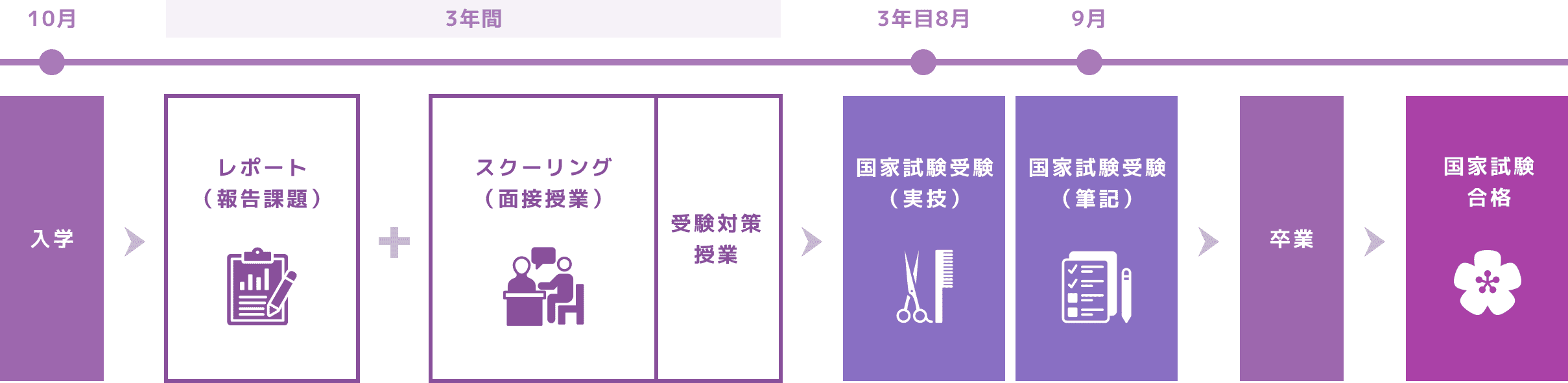 美容師免許取得までの流れを示すタイムライン